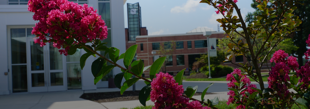 flowers in front of building